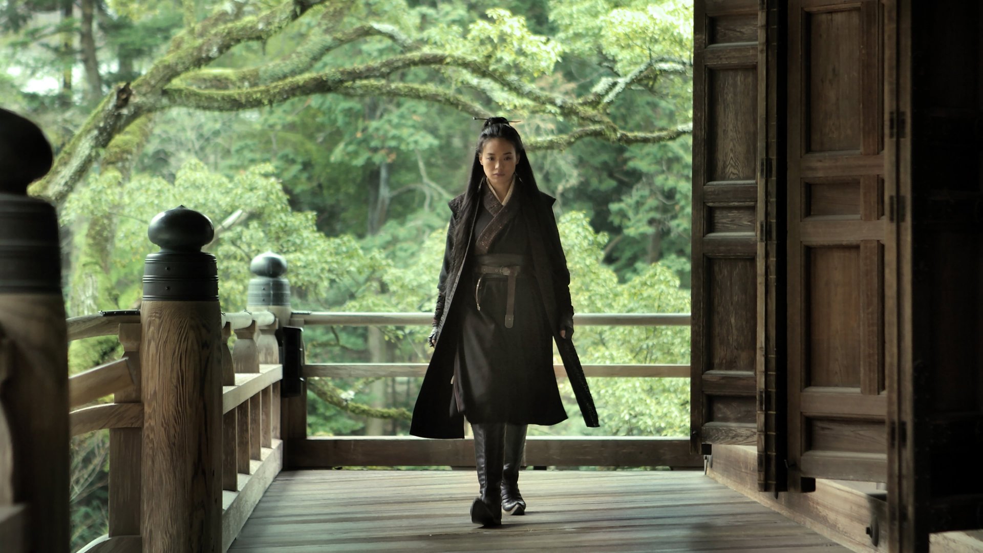 Cinematic background from The Assassin 2015 - A female assassin receives a dangerous mission to kill a political leader in eighth-century China.