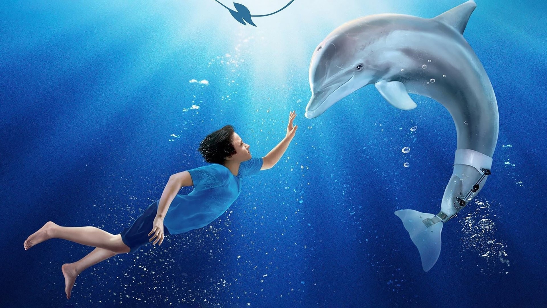 Cinematic background from Dolphin Tale 2011 - A story centered on the friendship between a boy and a dolphin whose tail was lost in a crab trap.