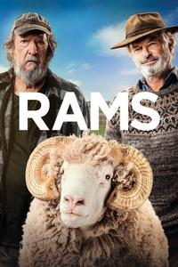 Official poster of Rams 2020 directed by Jeremy Sims