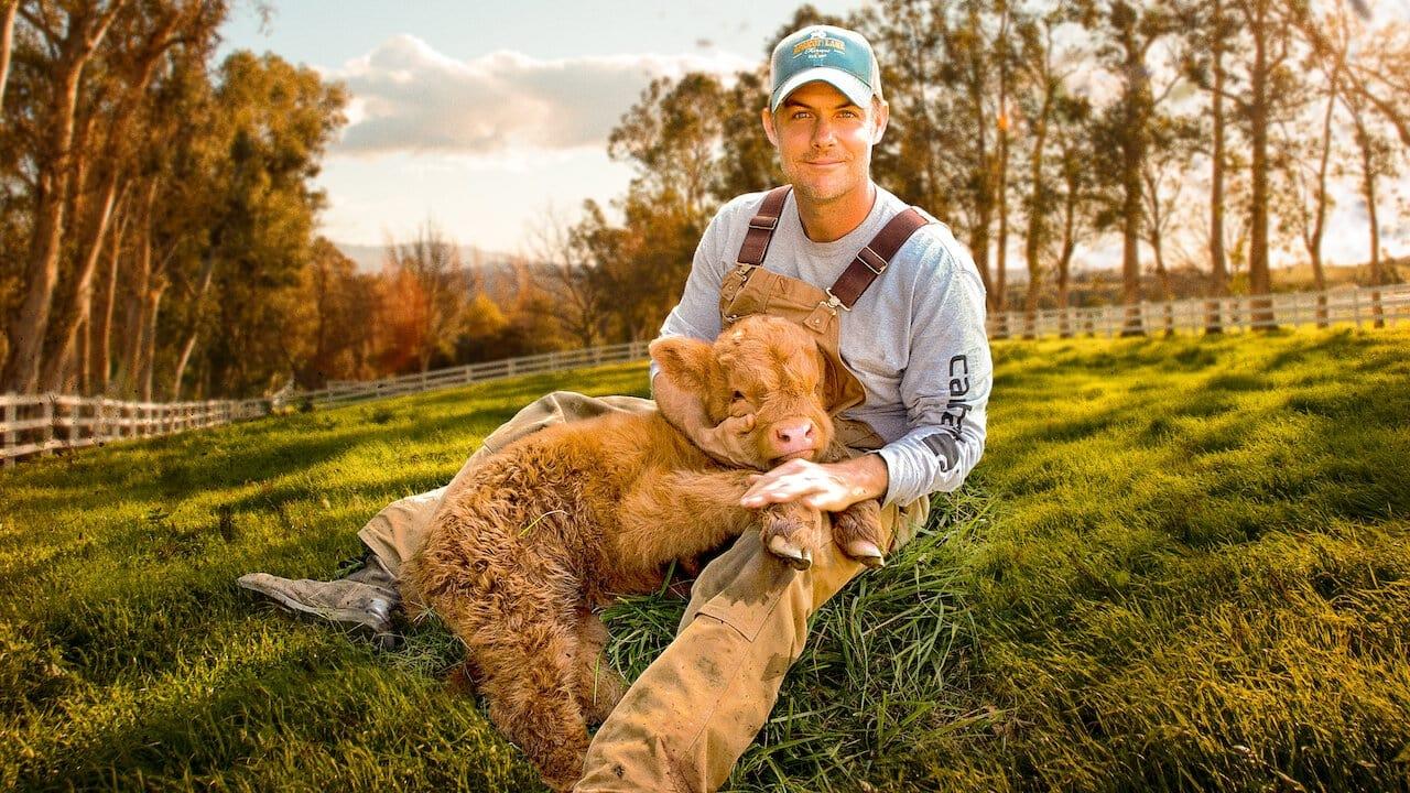 Cinematic background from The Biggest Little Farm 2018 - The successes and failures of a couple determined to live in harmony with nature on a farm outside of Los Angeles are lovingly chronicled by filmmaking farmer John Chester, in this inspiring documentary.