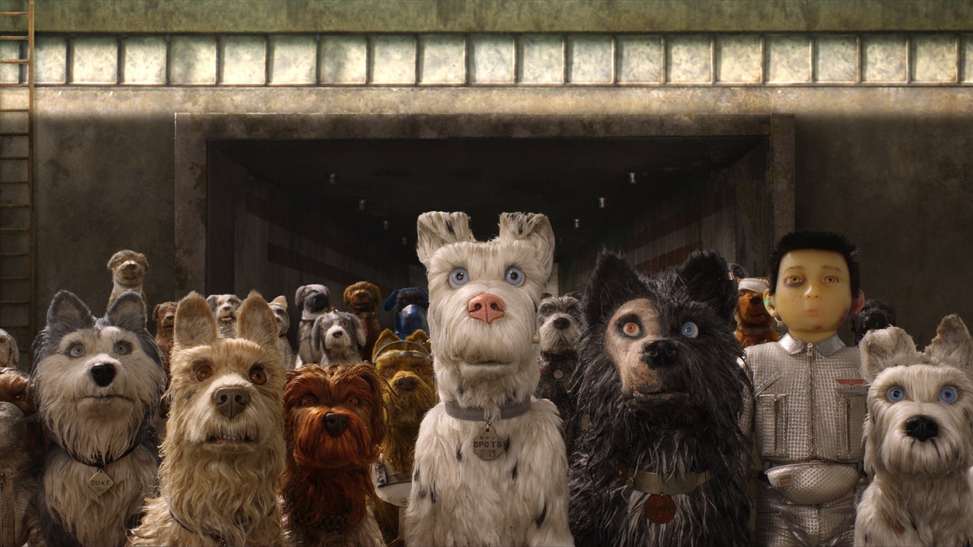 Cinematic background from Isle of Dogs 2018 - In the future, an outbreak of canine flu leads the mayor of a Japanese city to banish all dogs to an island used as a garbage dump. The outcasts must soon embark on an epic journey when a 12-year-old boy arrives on the island to find his beloved pet.