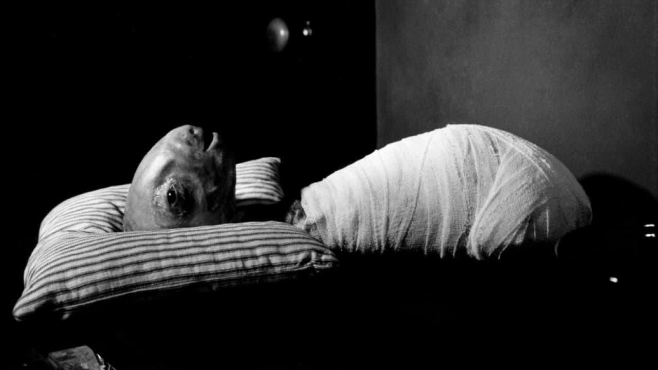 Cinematic background from Eraserhead 1977 - First time father Henry Spencer tries to survive his industrial environment, his angry girlfriend, and the unbearable screams of his newly born mutant child. David Lynch arrived on the scene in 1977, almost like a mystical UFO gracing the landscape of LA with its enigmatic radiance. His inaugural work, "Eraserhead" (1977), stood out as a cinematic anomaly, painting a surreal narrative of a young man navigating a dystopian, industrialized America, grappling not only with his tumultuous home life but also contending with an irate girlfriend and a mutant child.