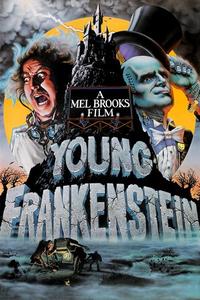 Official poster of Young Frankenstein 1974 directed by [object Object]