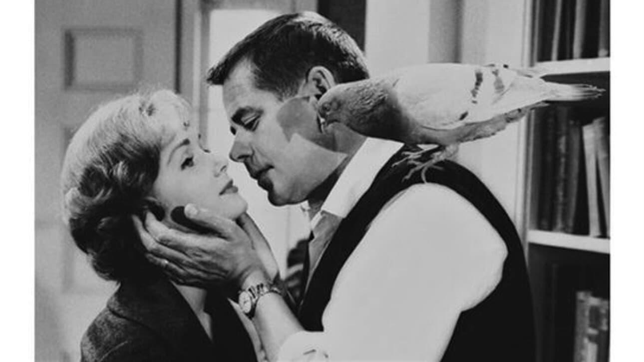 Cinematic background from The Gazebo 1959 - TV writer Elliott Nash buries a blackmailer under the new gazebo in his suburban backyard. But the nervous man can't let the body rest there.