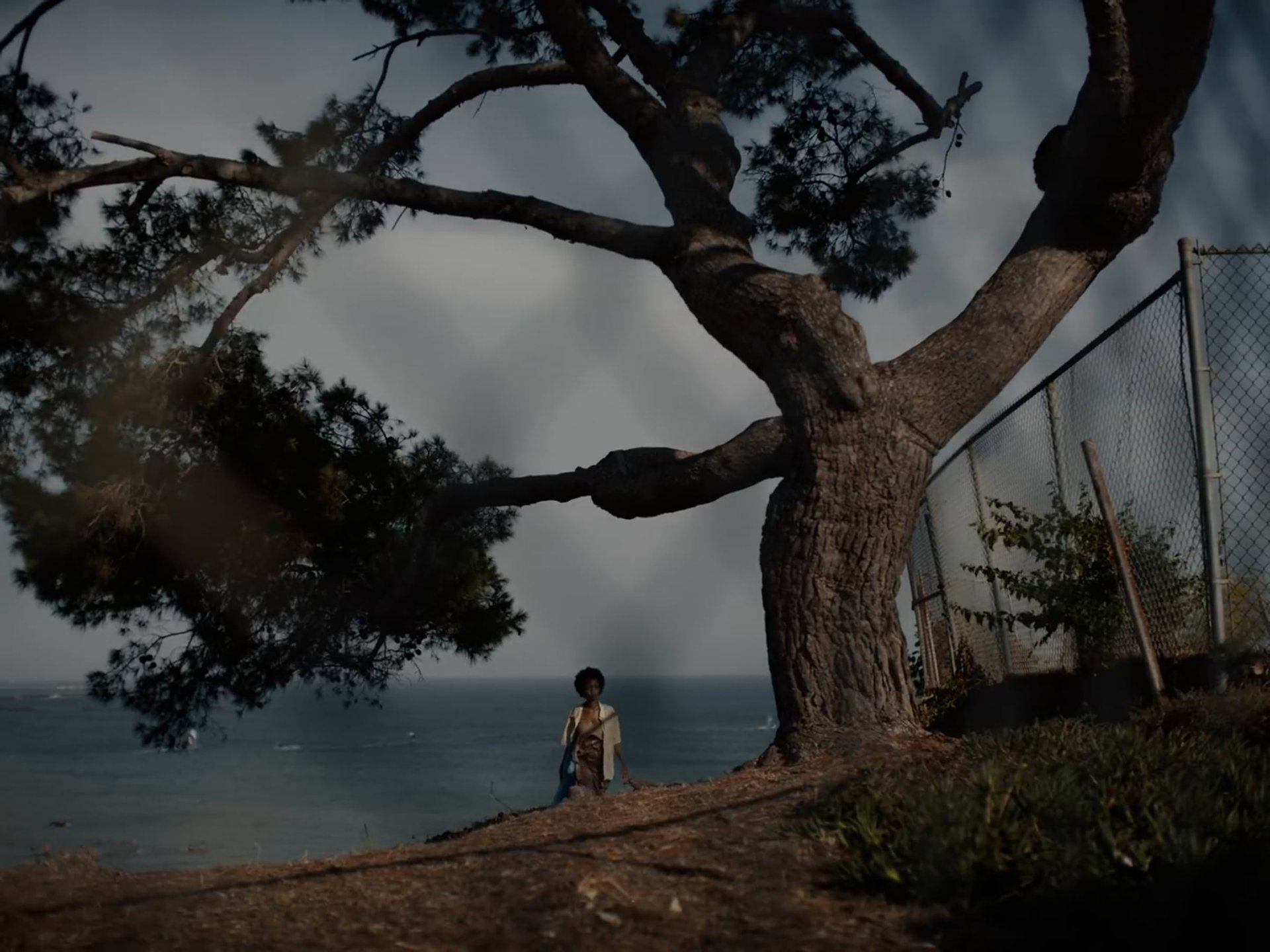 Cinematic background from Sam Dew - NTWFL 2020 - null