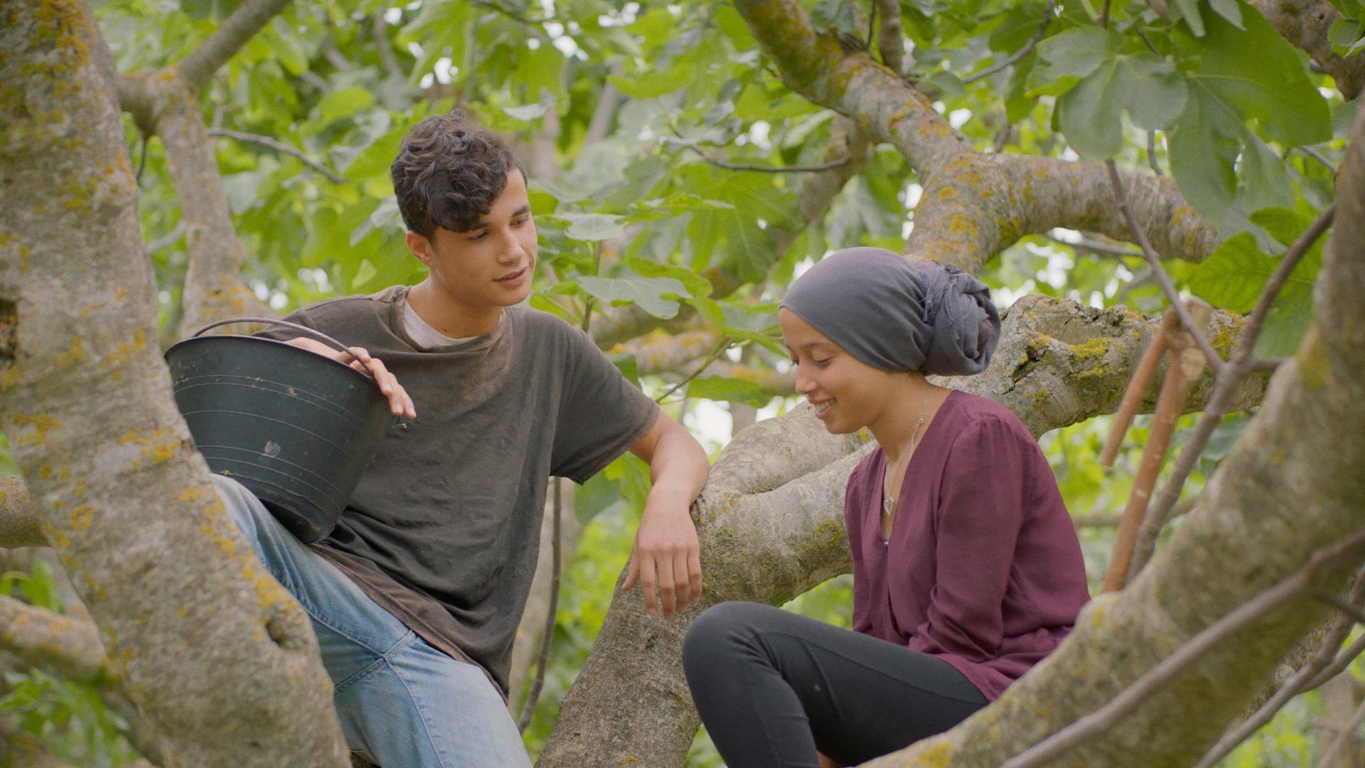 Cinematic background from Under the Fig Trees 2021 - Among the trees, young women and men working the summer harvest develop new feelings, flirt, try to understand each other, find – and flee – deeper connections.