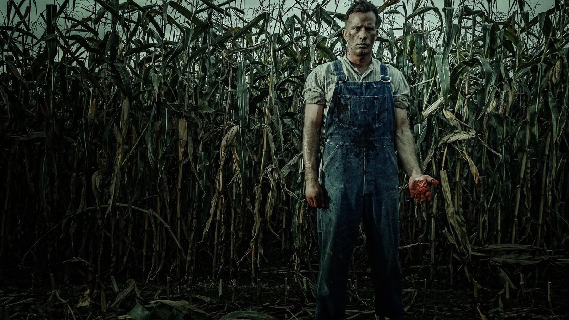 Cinematic background from 1922 2017 - A simple yet proud rancher conspires to murder his wife for financial gain, convincing his teenage son to participate.