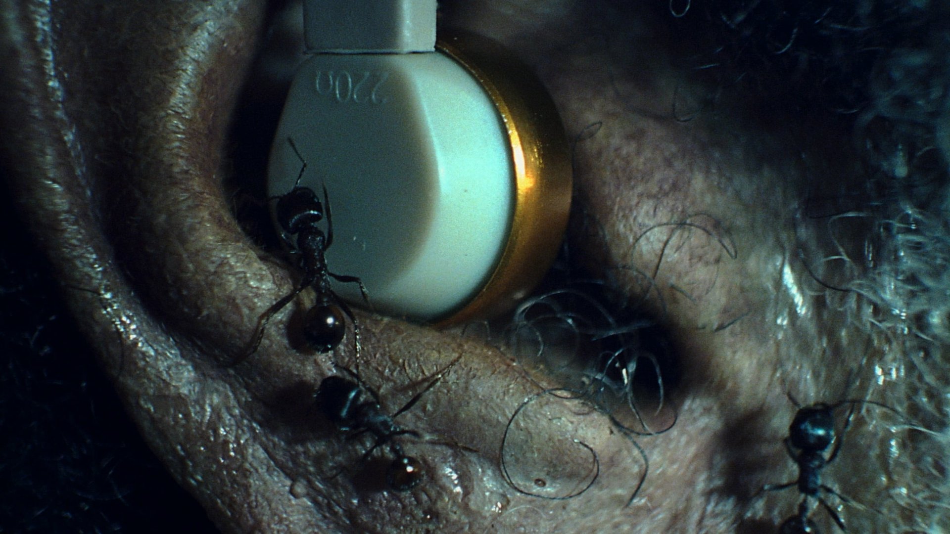 Cinematic background from The Weeknd - Gasoline 2022 - null