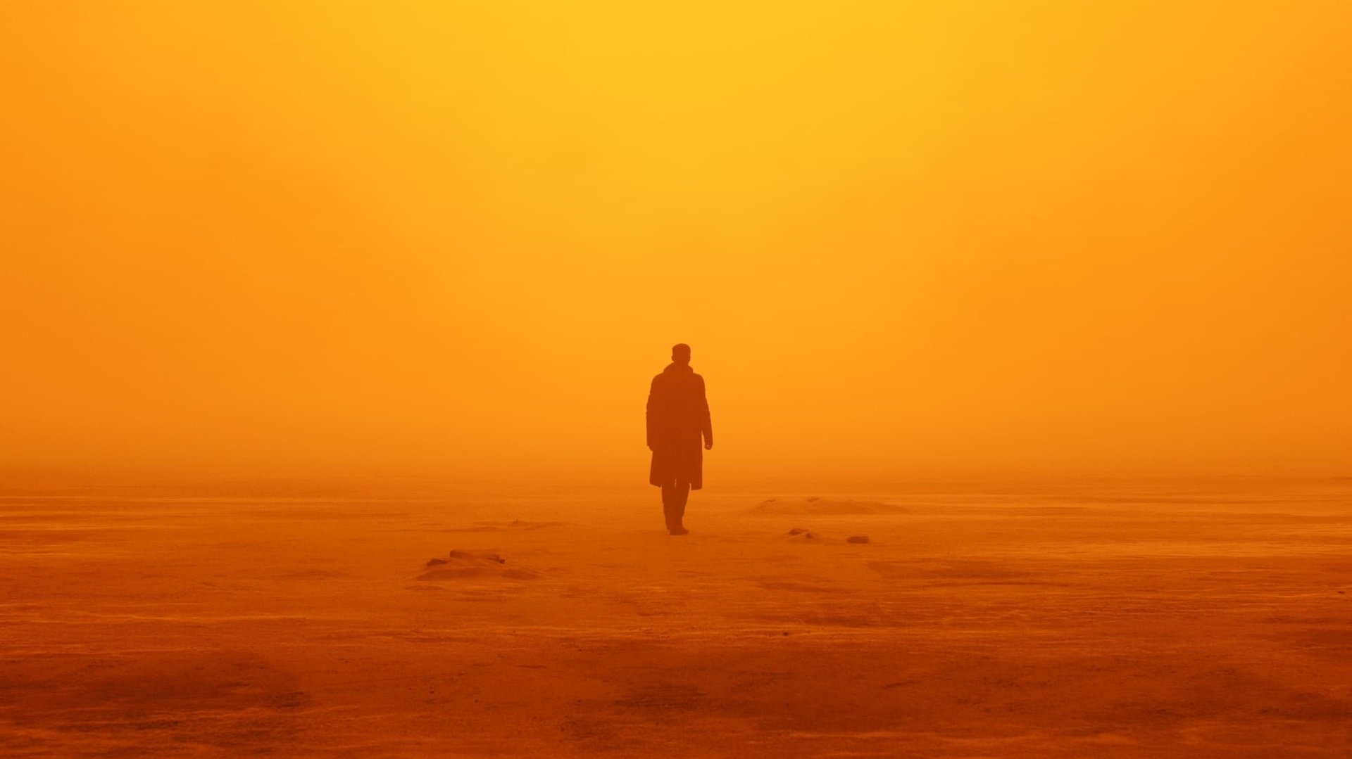 Cinematic background from Blade Runner 2049 2017 - Thirty years after the events of the first film, a new blade runner, LAPD Officer K, unearths a long-buried secret that has the potential to plunge what's left of society into chaos. K's discovery leads him on a quest to find Rick Deckard, a former LAPD blade runner who has been missing for 30 years.