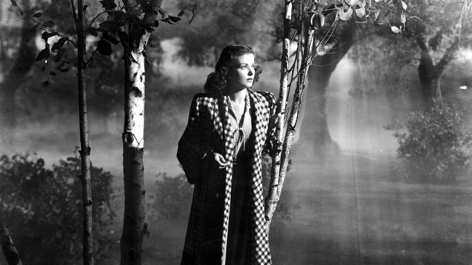 Cinematic background from Secret Beyond the Door... 1947 - After a whirlwind romance in Mexico, a beautiful heiress marries a man she barely knows with hardly a second thought. She finds his New York home full of his strange relations, and macabre rooms that are replicas of famous murder sites. One locked room contains the secret to her husband's obsession, and the truth about what happened to his first wife.