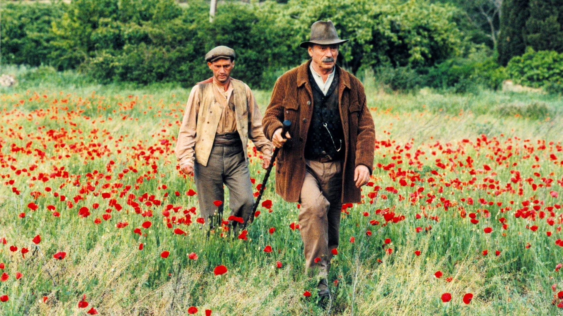 Cinematic background from Jean de Florette 1986 - In a rural French village, an old man and his only remaining relative cast their covetous eyes on an adjoining vacant property. They need its spring water for growing their flowers, and are dismayed to hear that the man who has inherited it is moving in. They block up the spring and watch as their new neighbour tries to keep his crops watered from wells far afield through the hot summer. Though they see his desperate efforts are breaking his health and his wife and daughter's hearts, they think only of getting the water.
