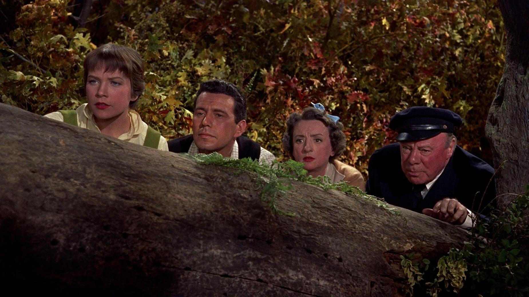 Cinematic background from The Trouble with Harry 1955 - When a local man's corpse appears on a nearby hillside, no one is quite sure what happened to him. Many of the town's residents secretly wonder if they are responsible, including the man's ex-wife, Jennifer, and Capt. Albert Wiles, a retired seaman who was hunting in the woods where the body was found. As the no-nonsense sheriff gets involved and local artist Sam Marlowe offers his help, the community slowly unravels the mystery.