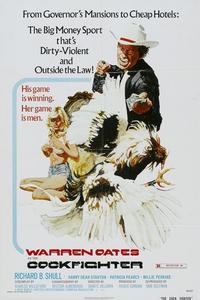 Official poster of Cockfighter 1974 directed by [object Object]