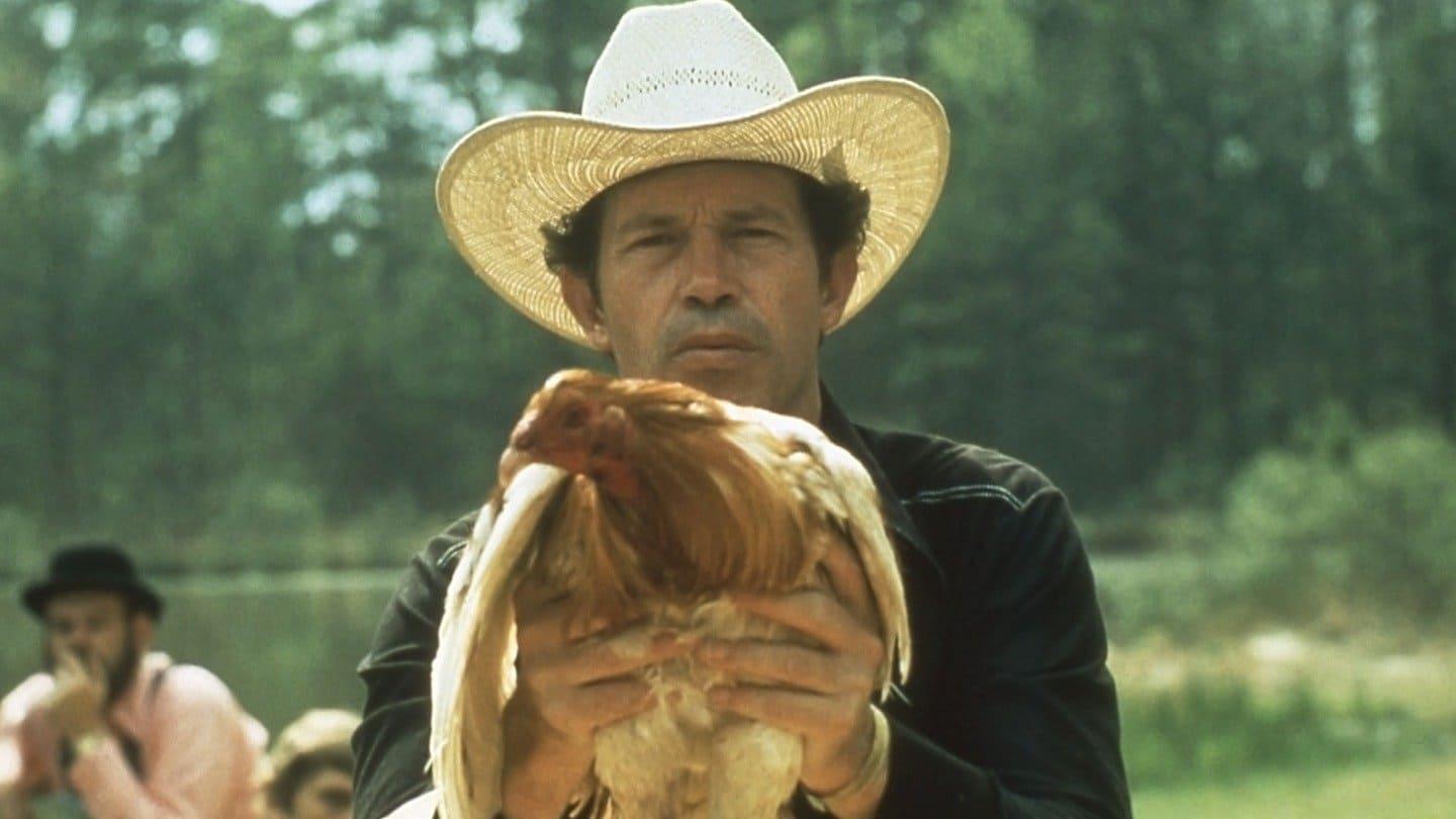 Cinematic background from Cockfighter 1974 - A man who trains fighting cocks vows to remain silent until one of his birds wins a championship.