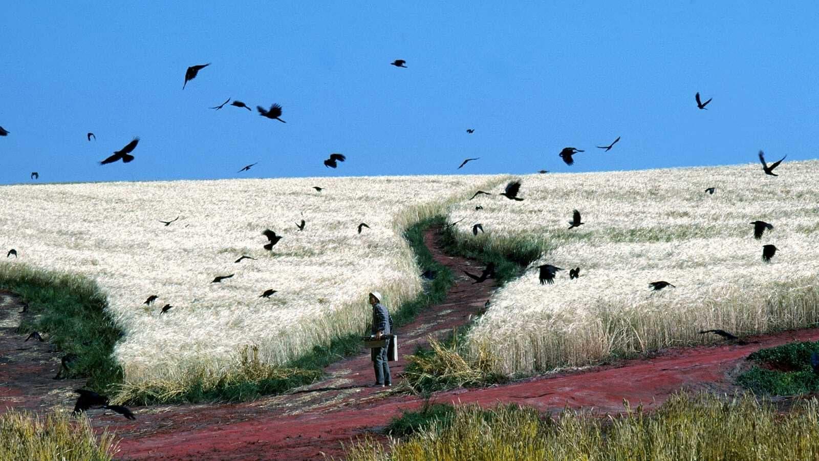 Cinematic background from Dreams 1990 - A collection of magical tales based upon the actual dreams of director Akira Kurosawa.