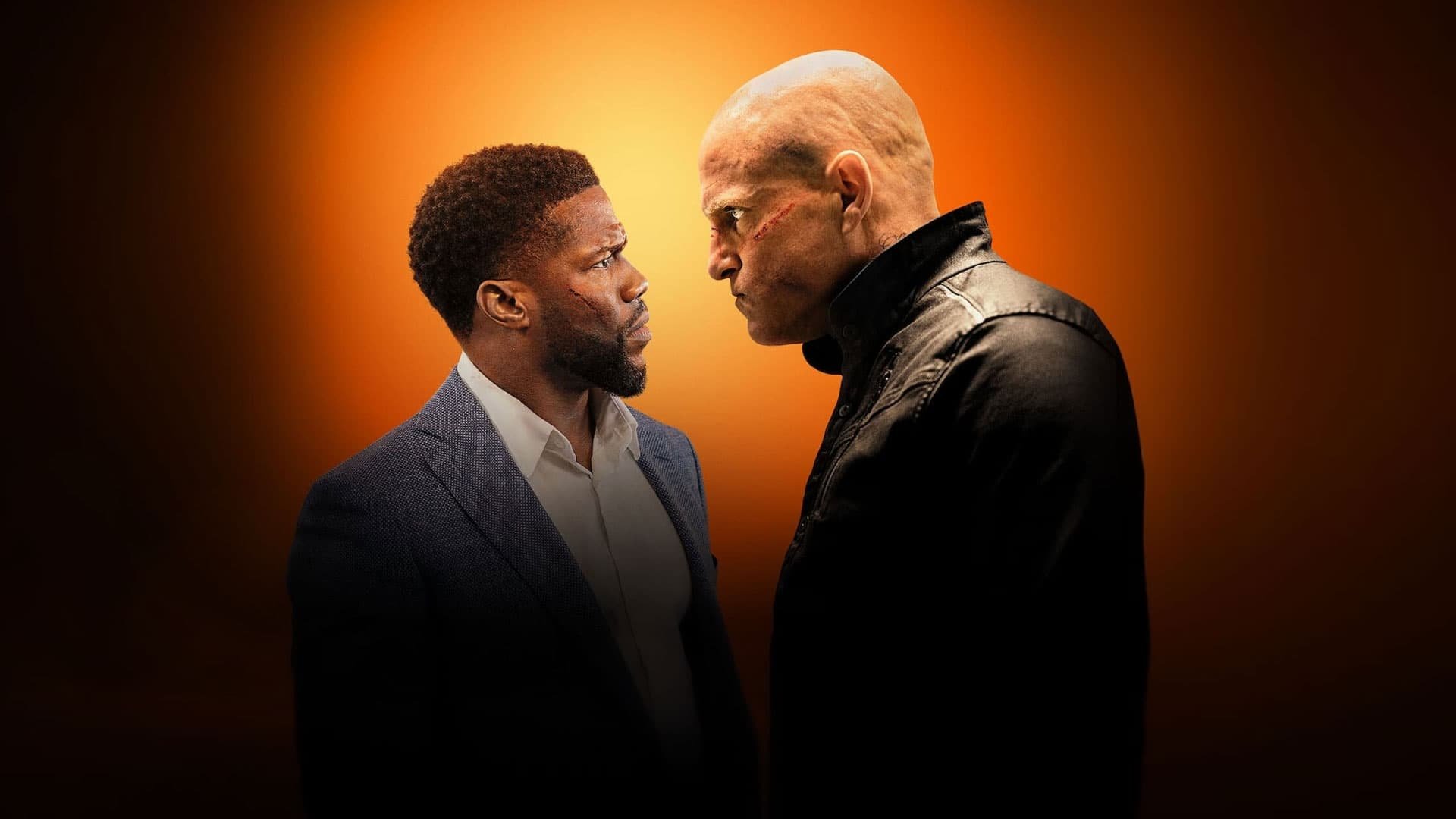 Cinematic background from The Man from Toronto 2022 - In a case of mistaken identity, the world’s deadliest assassin, known as the Man from Toronto, and a New York City screw-up are forced to team up after being confused for each other at a rental cabin.