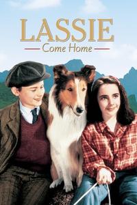 Official poster of Lassie Come Home 1943 directed by [object Object]