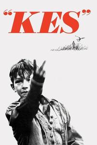 Official poster of Kes 1969 directed by [object Object]