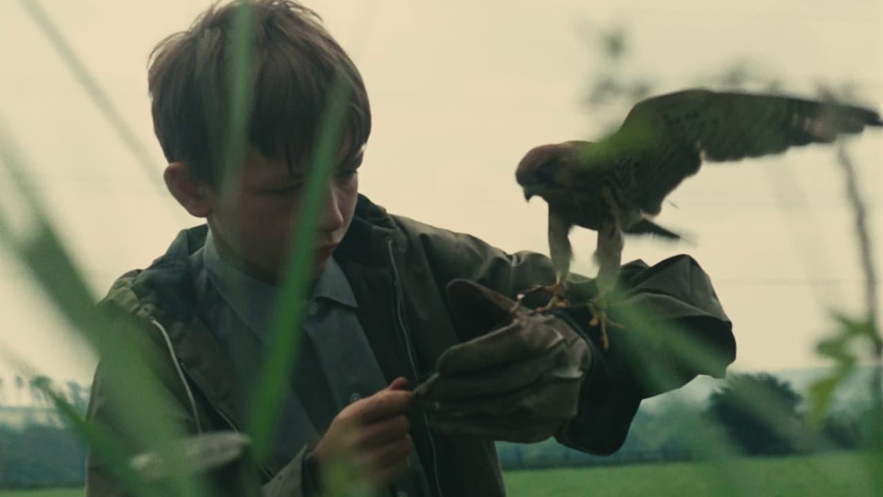 Cinematic background from Kes 1969 - Bullied at school and ignored and abused at home by his indifferent mother and older brother, Billy Casper, a 15-year-old working-class Yorkshire boy, tames and trains his pet kestrel falcon whom he names Kes. Helped and encouraged by his English teacher and his fellow students, Billy finally finds a positive purpose to his unhappy existence—until tragedy strikes.