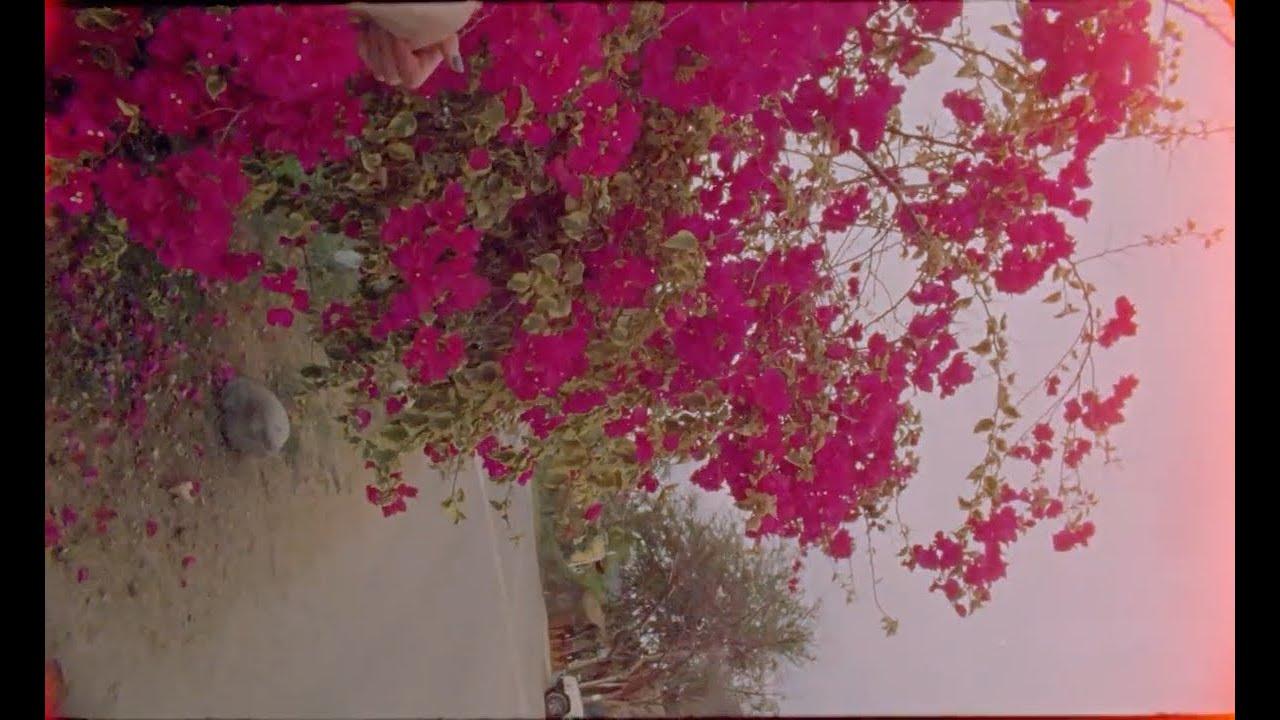 Cinematic background from Loving - Nihilist Kite Flyer 2019 - null