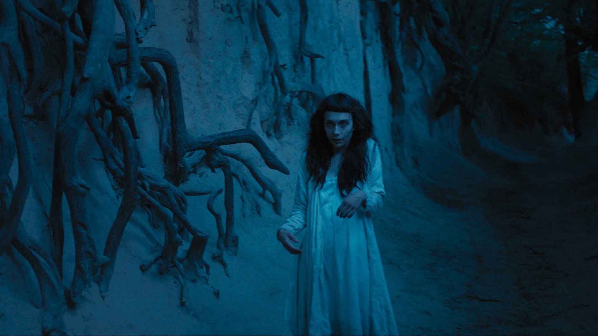 Cinematic background from The Field Guide to Evil 2018 - A feature-length anthology film. They are known as myths, lore, and folktales. Created to give logic to mankind’s darkest fears, these stories laid the foundation for what we now know as the horror genre.