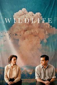 Official poster of Wildlife 2018 directed by [object Object]