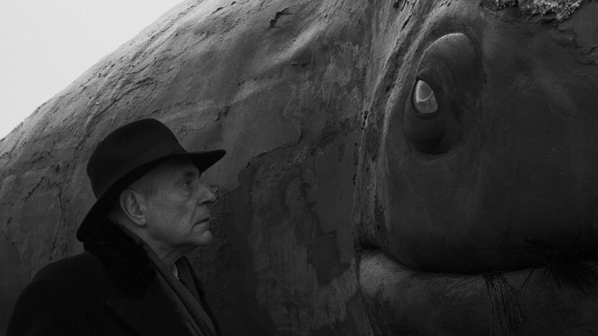 Cinematic background from Werckmeister Harmonies 2000 - A mysterious circus excites a small Hungarian town into a rebellion when a promised act doesn't perform.