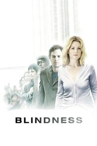 Official poster of Blindness 2008 directed by [object Object]