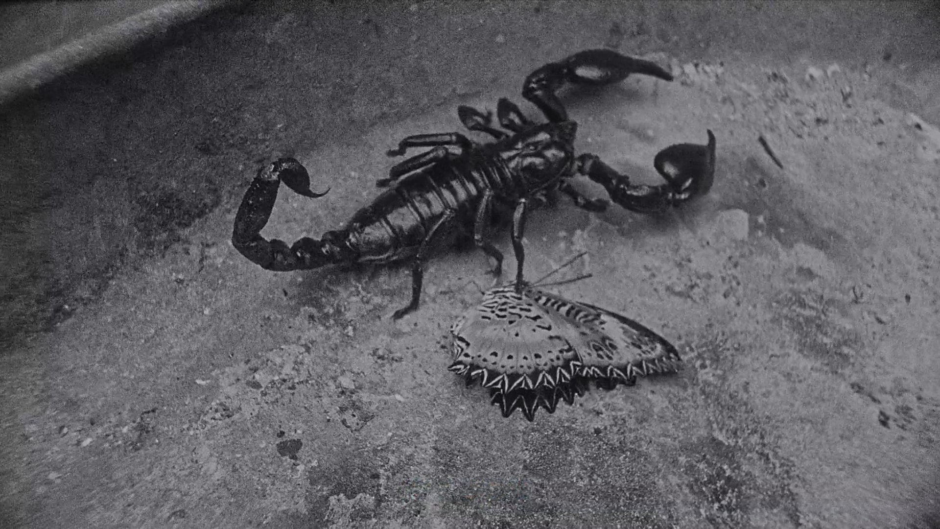 Cinematic background from A$AP MOB - Moneyman 2016 - null