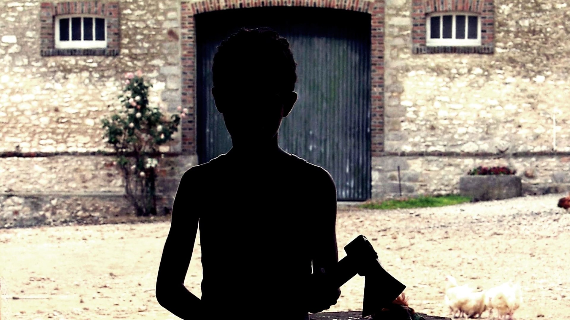 Cinematic background from Caché 2005 - A married couple is terrorized by a series of videotapes planted on their front porch.