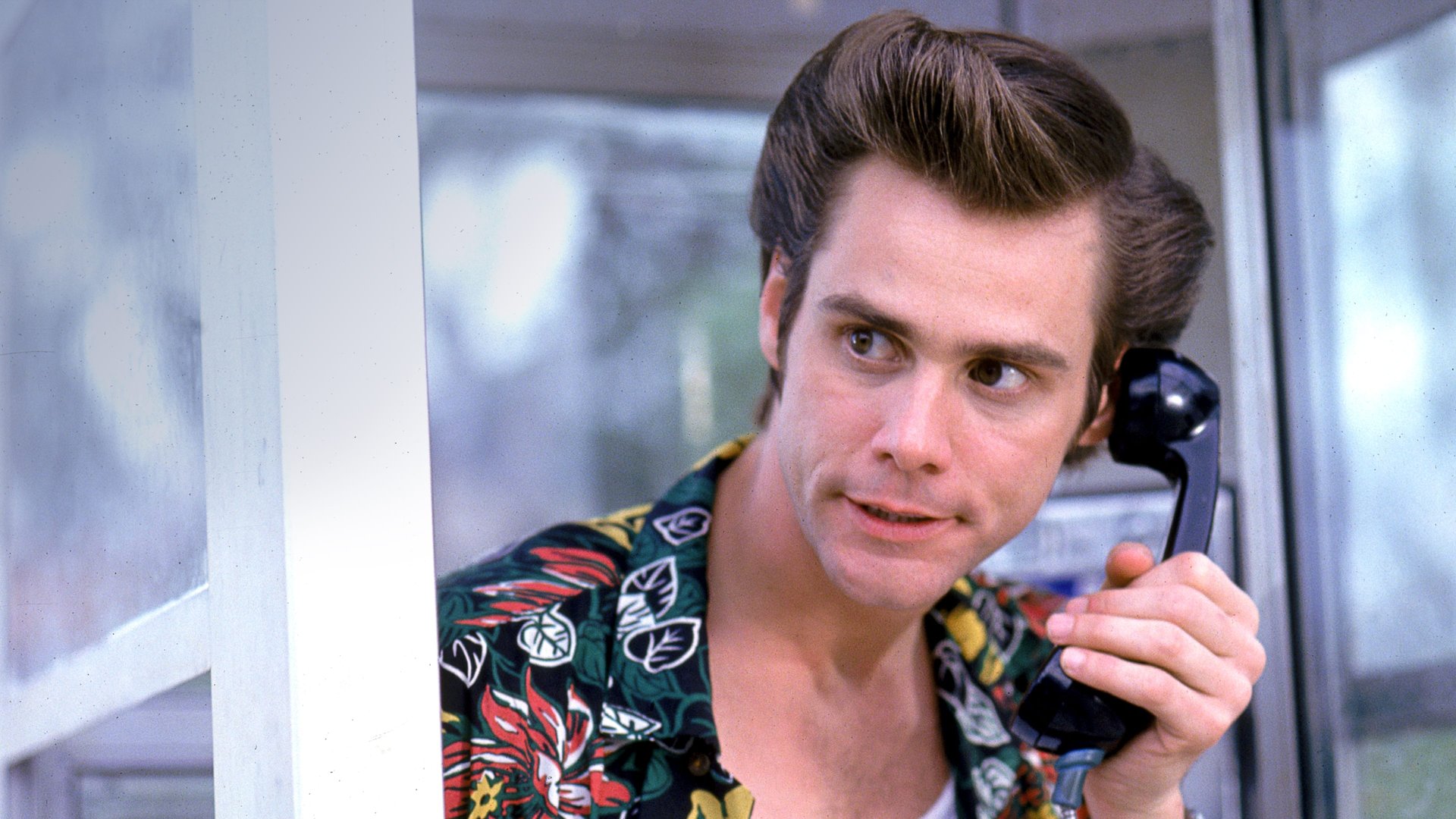 Cinematic background from Ace Ventura: Pet Detective 1994 - He's Ace Ventura: Pet Detective. Jim Carrey is on the case to find the Miami Dolphins' missing mascot and quarterback Dan Marino. He goes eyeball to eyeball with a man-eating shark, stakes out the Miami Dolphins and woos and wows the ladies. Whether he's undercover, under fire or underwater, he always gets his man… or beast!
