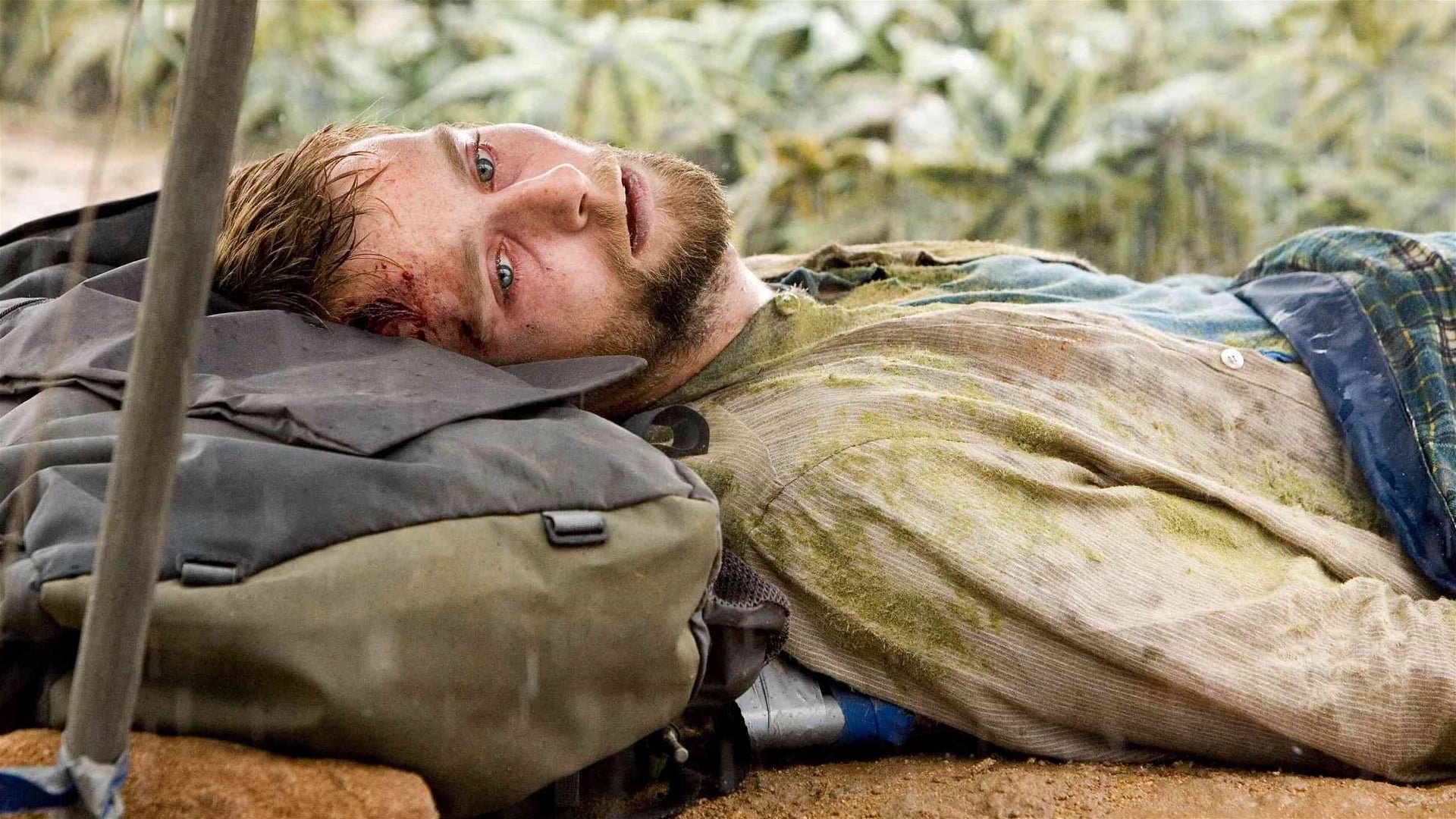 Cinematic background from The Ruins 2008 - Americans Amy, Stacy, Jeff and Eric look for fun during a sunny holiday in Mexico, but they get much more than that after visiting an archaeological dig in the jungle.