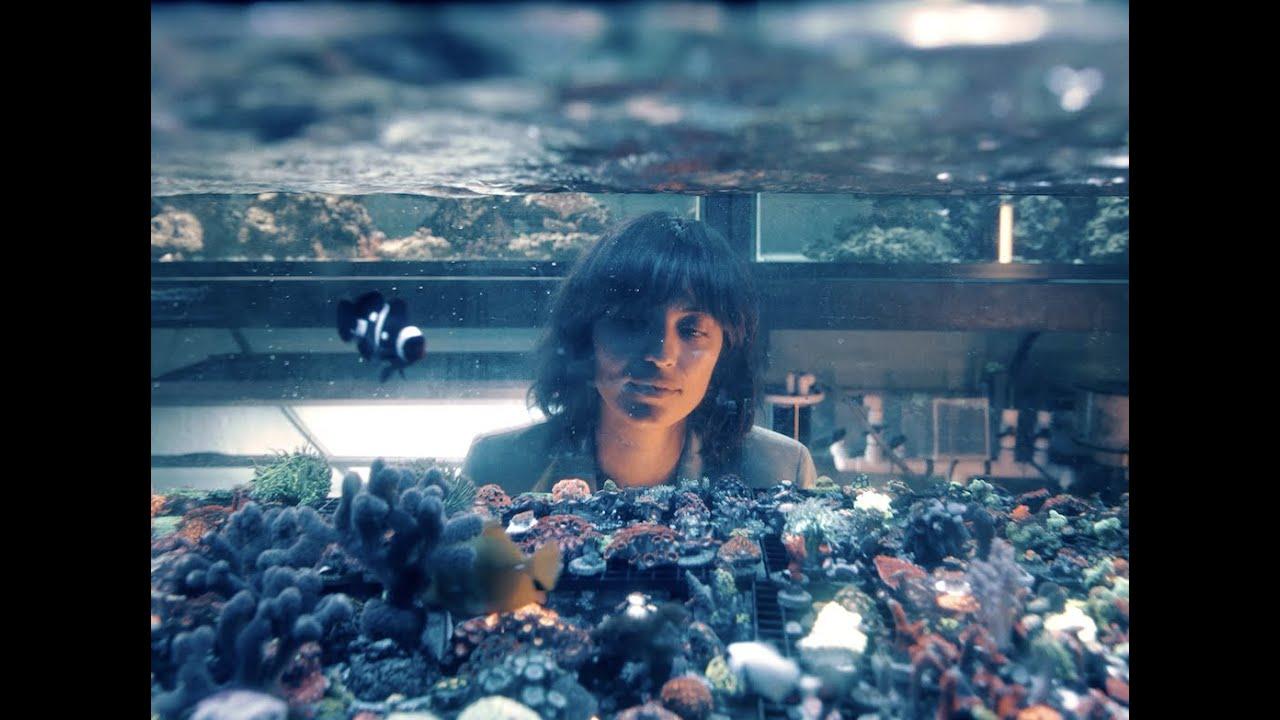 Cinematic background from Blue Wilson - Underwater Dance 2021 - null