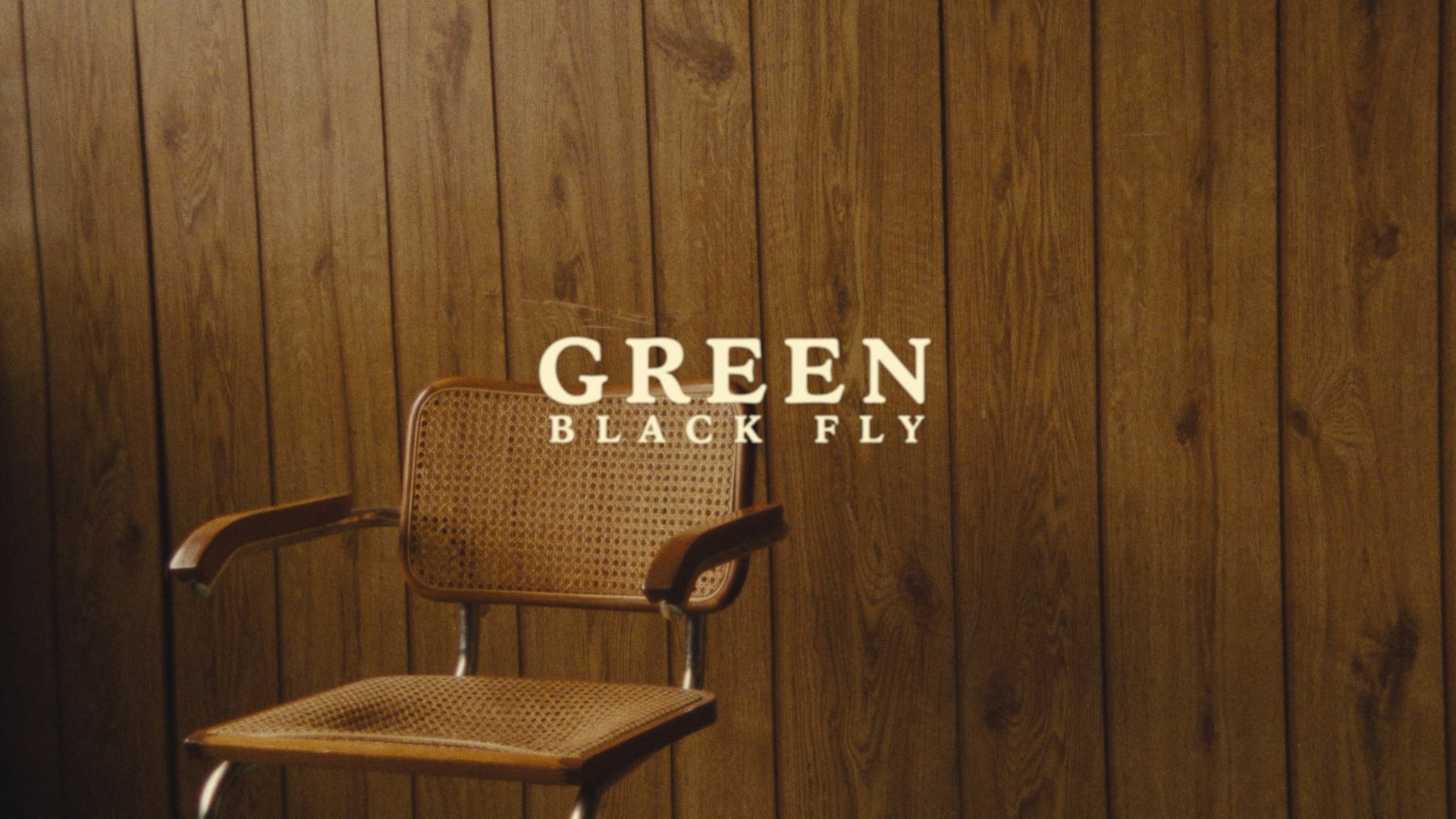 Cinematic background from Black Fly - Green 2019 - null