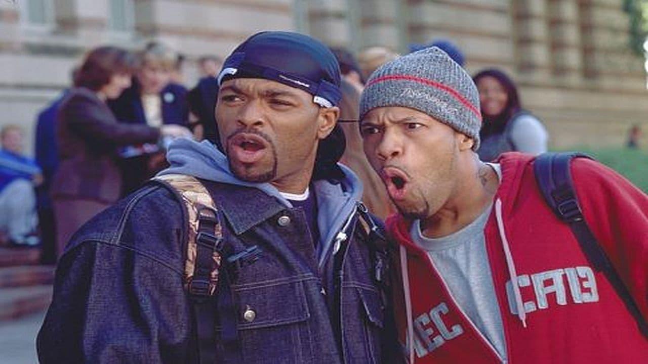 Cinematic background from How High 2001 - Multi-platinum rap superstars Redman and Method Man star as Jamal and Silas, two regular guys who smoke something magical, ace their college entrance exams and wind up at Harvard. Ivy League ways are strange but Silas and Jamal take it in a stride -- until their supply of supernatural smoke runs dry. That's when they have to start living by their wits and rely on their natural resources to make the grade.