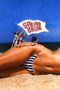 Official poster of Spring Break 1983 directed by [object Object]