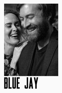 Official poster of Blue Jay 2016 directed by [object Object]
