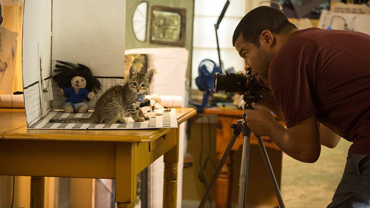 Cinematic background from Keanu 2016 - Friends hatch a plot to retrieve a stolen cat by posing as drug dealers for a street gang.