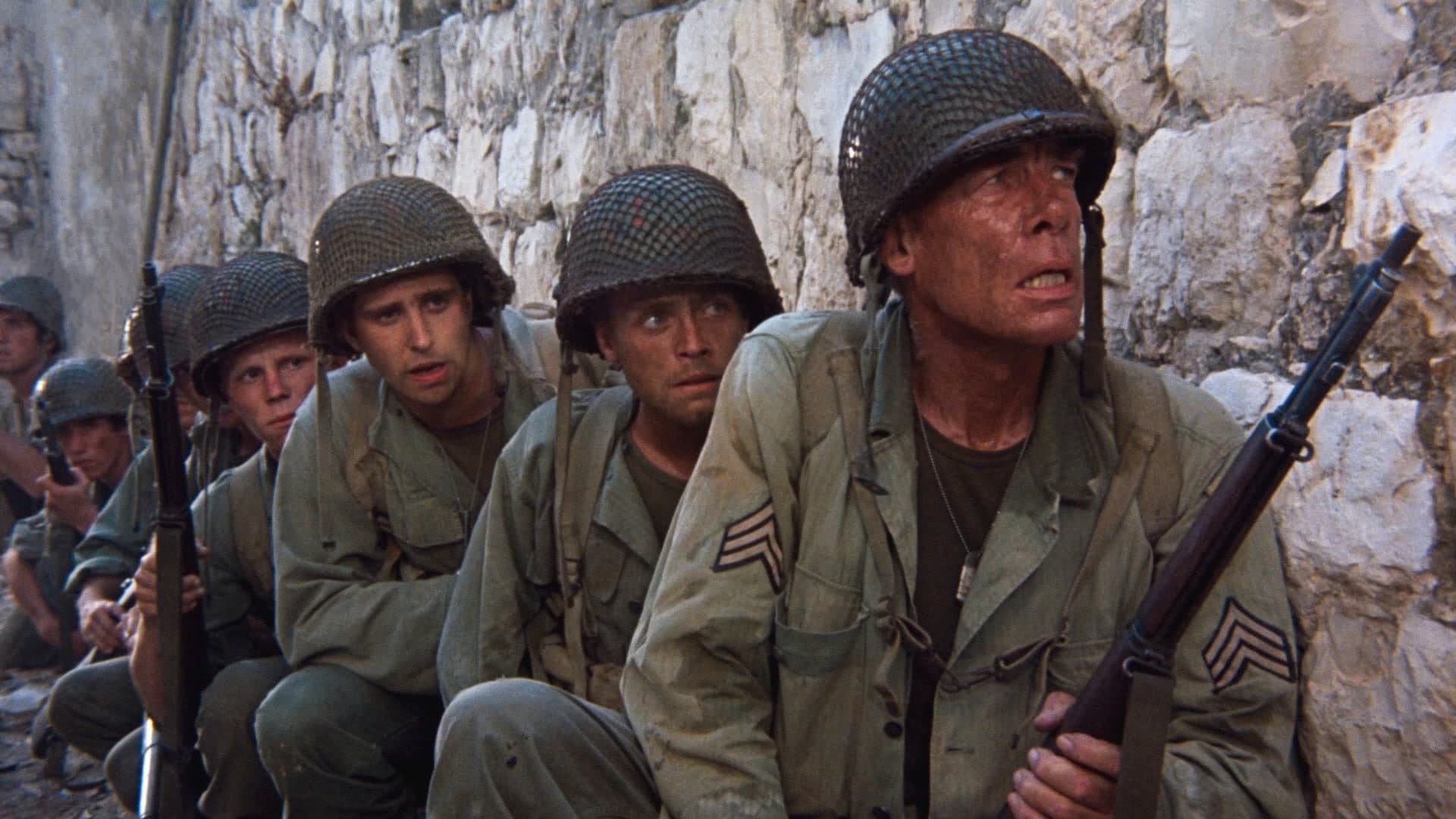 Cinematic background from The Big Red One 1980 - A veteran sergeant of World War I leads a squad in World War II, always in the company of the survivor Pvt. Griff, the writer Pvt. Zab, the Sicilian Pvt. Vinci and Pvt. Johnson, in Vichy French Africa, Sicily, D-Day at Omaha Beach, Belgium and France, and ending in a concentration camp in Czechoslovakia where they face the true horror of war.