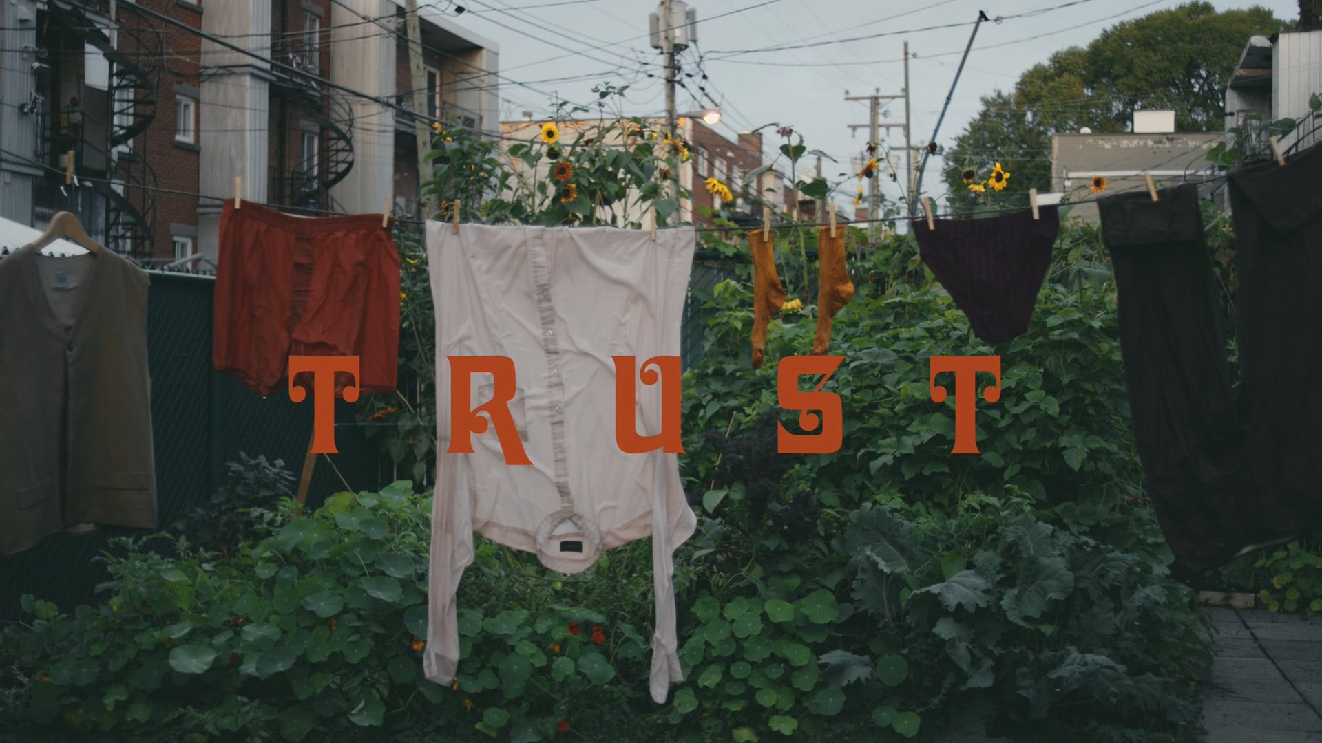 Cinematic background from Alex Nicol - Trust 2020 - null