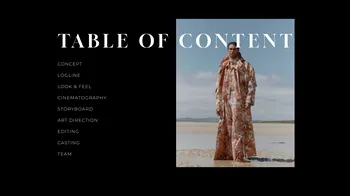 Controversial - Music video / commercial template