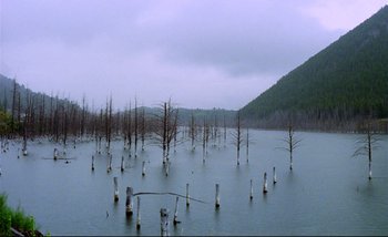 Movie still from “Heart of Glass” (1976), directed by Werner Herzog – A body of water that has trees in the water; Extreme Wide shot, High angle