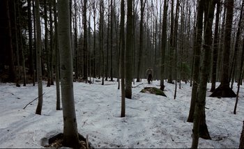 Movie still from “Heart of Glass” (1976), directed by Werner Herzog – A person standing in the middle of a snow covered forest; Extreme Wide shot, High angle