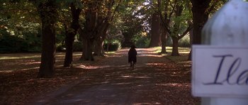 Movie still from “Heavenly Creatures” (1994), directed by Peter Jackson – A person riding a bike down a path in the woods; Extreme Wide shot, High angle
