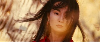 Movie still from “Hero” (2002), directed by Yimou Zhang – A person with long black hair; Close Up shot, Low angle