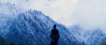 Movie still from “Hero” (2002), directed by Yimou Zhang – A person standing in front of a mountain with trees; Extreme Wide shot, Low angle