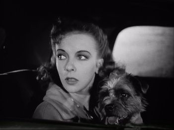Movie still from “High Sierra” (1940), directed by Raoul Walsh – A woman and a dog in the back seat of a car; Close Up shot, Low angle