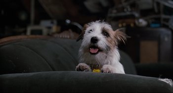 Movie still from “Honey, I Shrunk the Kids” (1989), directed by Joe Johnston – A small dog sitting on top of a couch; Close Up shot, Low angle