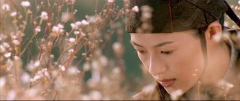 Movie still from “House of Flying Daggers” (2004), directed by Yimou Zhang – A young woman in oriental garb looking down at flowers; Close Up shot, High angle