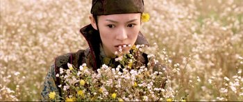 Movie still from “House of Flying Daggers” (2004), directed by Yimou Zhang – A person in a field with a bunch of wild flowers; Close Up shot, Low angle